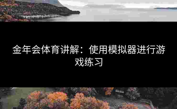 金年会体育讲解：使用模拟器进行游戏练习